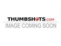 paris hilton sextape download